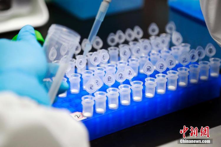 日前,同济大学附属东方医院转化医学平台与斯微(上海)生物科技有限